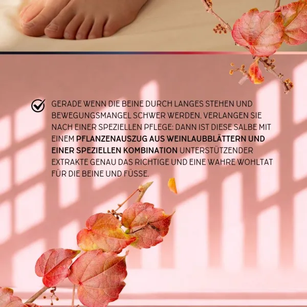 Rotes Weinlaub-Salbe wohltuende Beinpflege Info